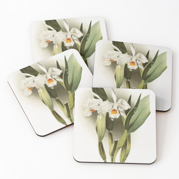 Item preview, Reichenbachia: Orchids Illustrated and Described designed and sold by EsotericBotanic.