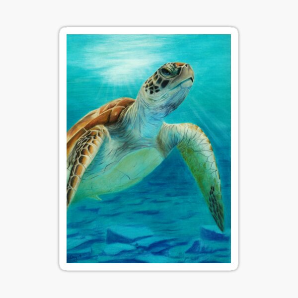 Sea Turtle Sticker