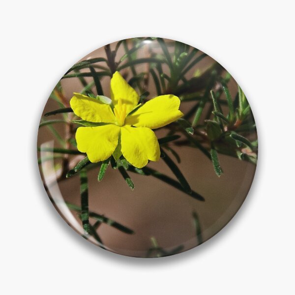 Item preview, Rare and Endangered ~ Hibbertia menai designed and sold by Robert Elliott.