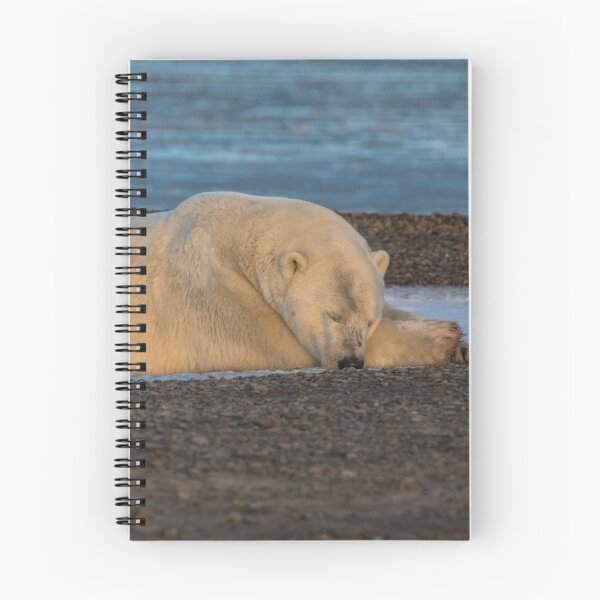 Item preview, STOCK ~ Lazy Polar Bear designed and sold by akaurora.