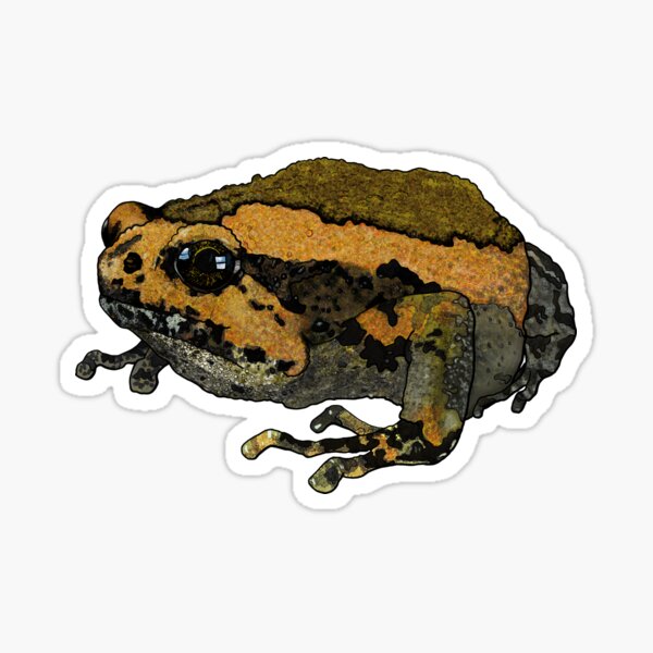 Item preview, Toad is Looking at You! - Orange & Black designed and sold by creativekeener.