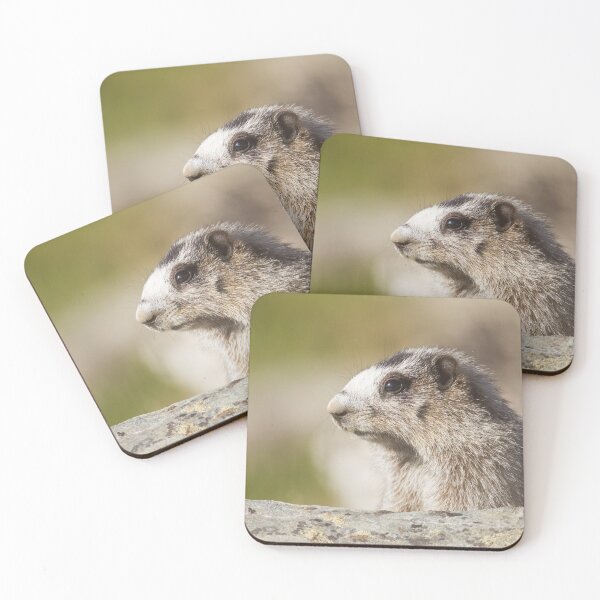 Item preview, Hoary Marmot designed and sold by Jukka Jantunen.