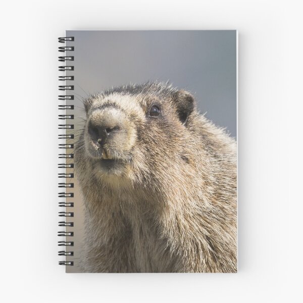 Item preview, Hoary Marmot designed and sold by Jukka Jantunen.