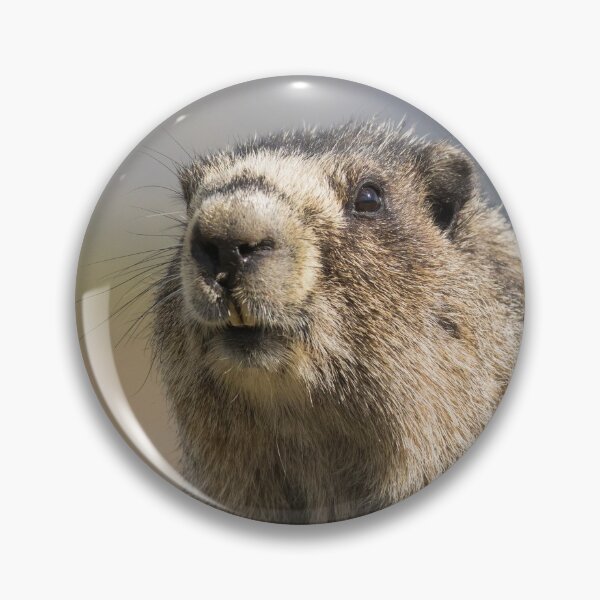 Item preview, Hoary Marmot designed and sold by Jukka Jantunen.