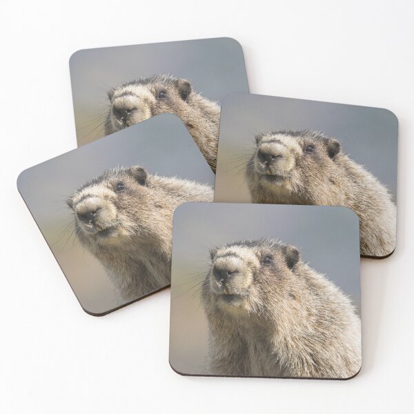 Item preview, Hoary Marmot designed and sold by Jukka Jantunen.