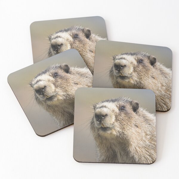 Item preview, Hoary Marmot designed and sold by Jukka Jantunen.