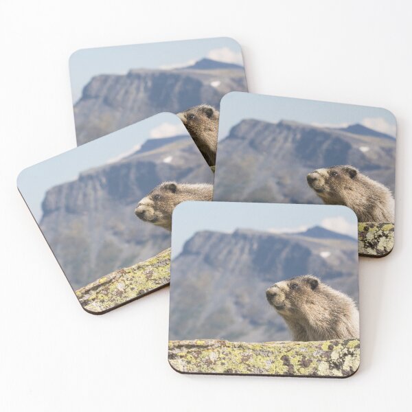 Item preview, Hoary Marmot designed and sold by Jukka Jantunen.