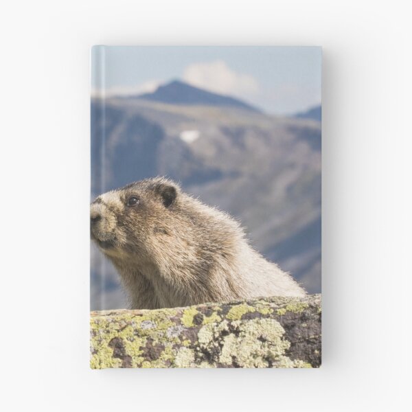 Item preview, Hoary Marmot designed and sold by Jukka Jantunen.
