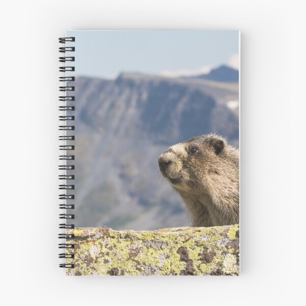 Item preview, Hoary Marmot designed and sold by Jukka Jantunen.