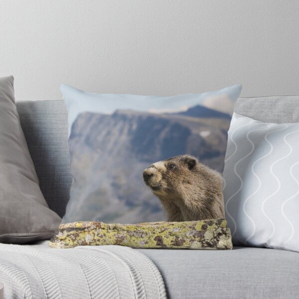 Item preview, Hoary Marmot designed and sold by Jukka Jantunen.