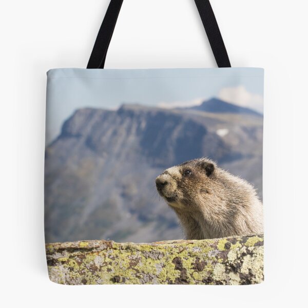 Item preview, Hoary Marmot designed and sold by Jukka Jantunen.
