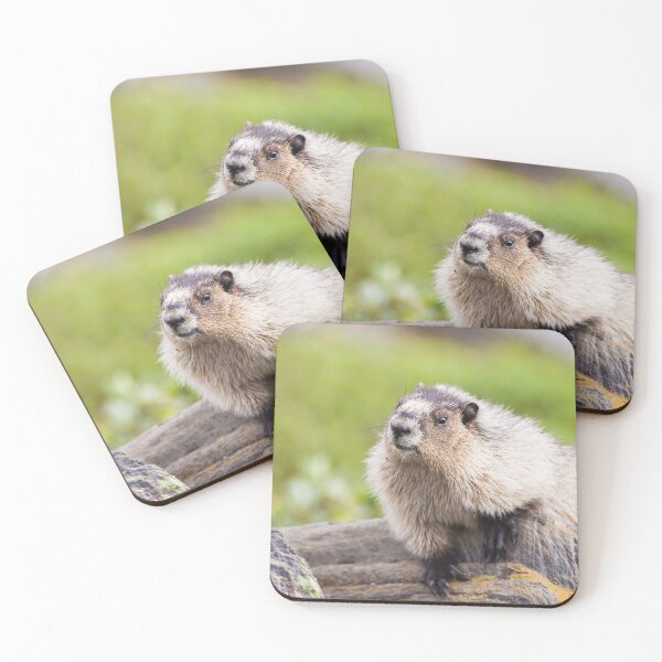Item preview, Hoary Marmot designed and sold by Jukka Jantunen.