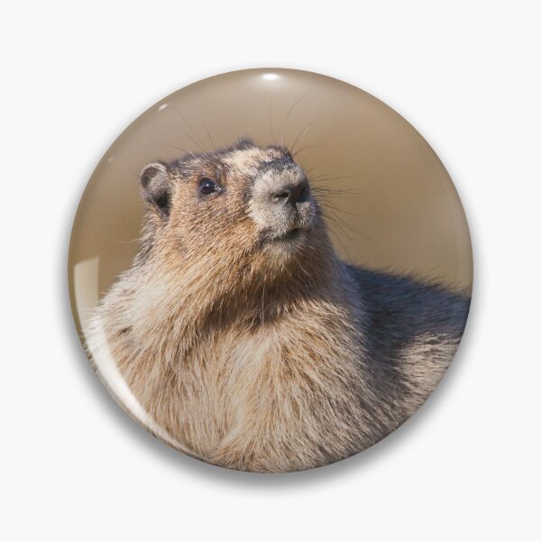 Item preview, Hoary Marmot designed and sold by Jukka Jantunen.