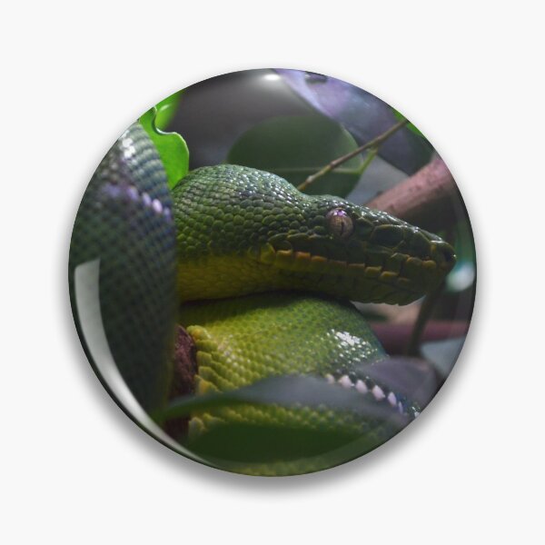 Item preview, Green Python designed and sold by Matryoshka.