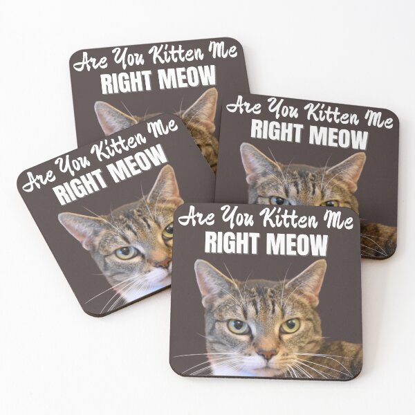 Item preview, Are you Kitten Me Right Meow designed and sold by ModkMerch.