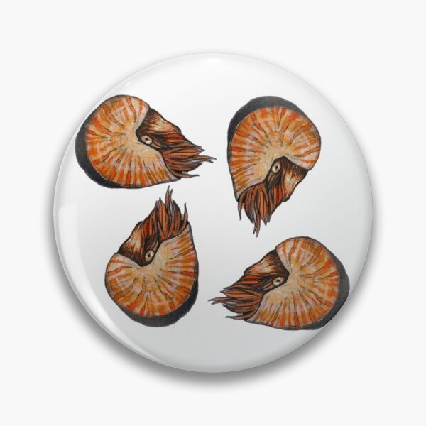 Artikelvorschau, Nautilus Nummer vier entworfen und verkauft von LittleRedChucks.