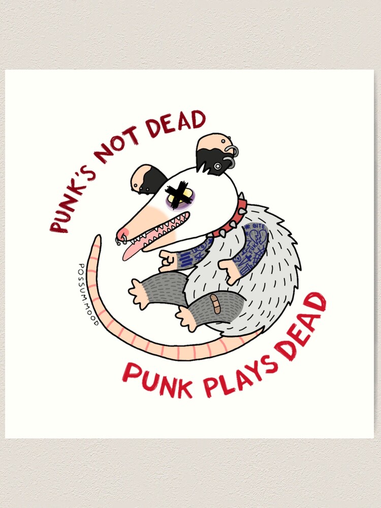 Punk Rock Opossum Rock n' Roll Metal Art Print for Sale by PrintPunk3