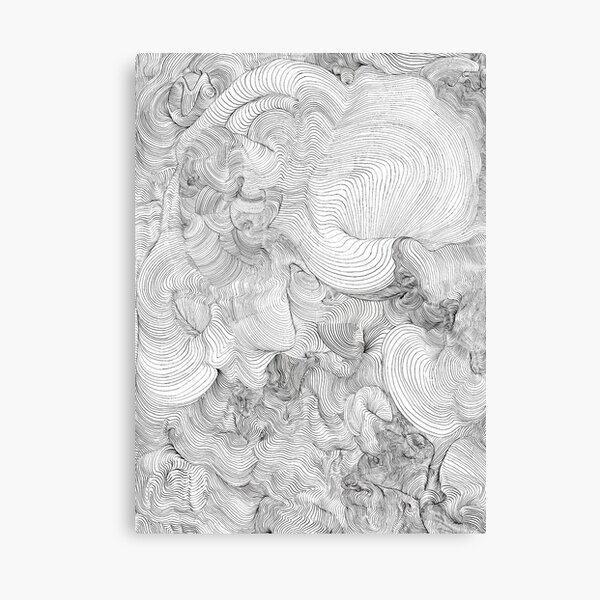 Life Lines Canvas Print