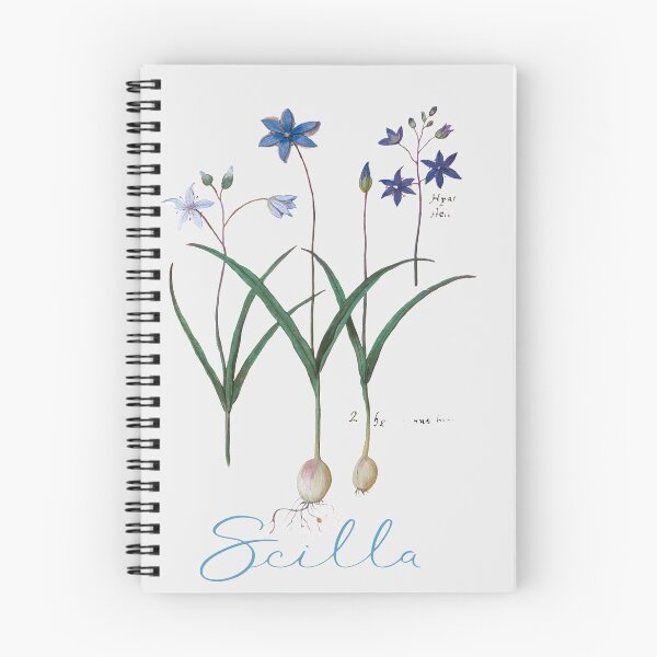Item preview, Scilla flower inflorescence  designed and sold by Nyanko-Sempai.