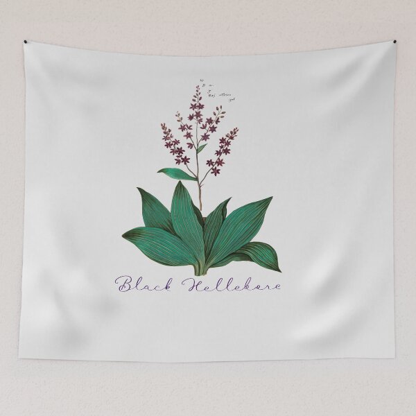 Item preview, Black Hellebore flower designed and sold by Nyanko-Sempai.