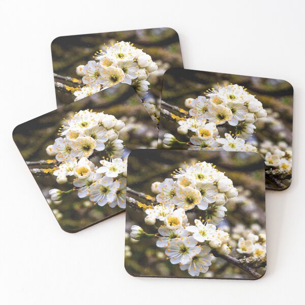 Item preview, Artistic Hawthorne Blossom designed and sold by Violaman.