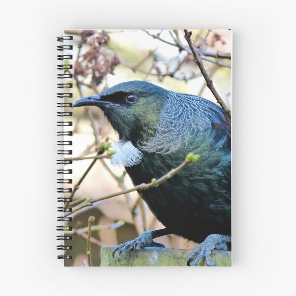 Item preview, Don't Look At Me - Tui - NZ designed and sold by AndreaEL.