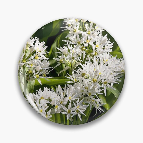 Item preview, Wild garlic designed and sold by Violaman.