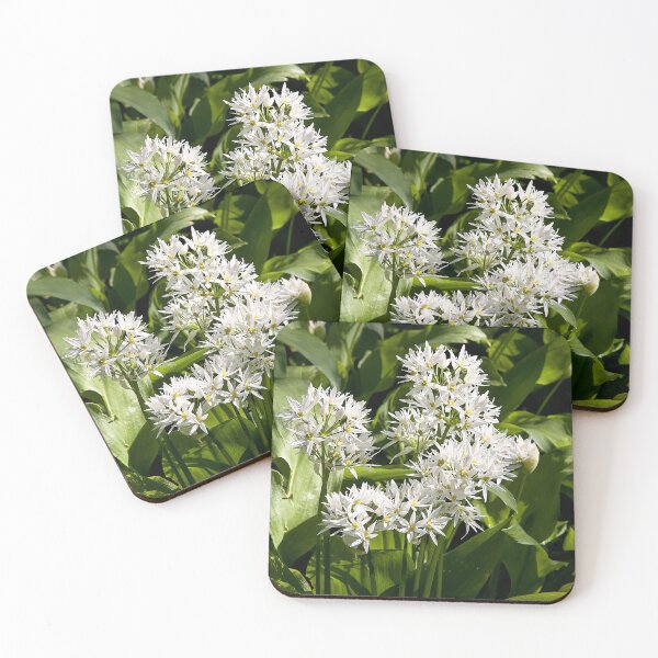 Item preview, Wild garlic designed and sold by Violaman.