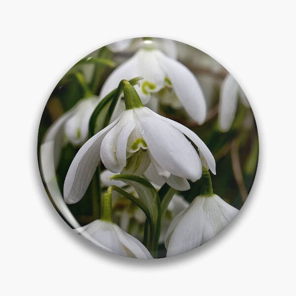 Item preview, Not long till spring designed and sold by Violaman.