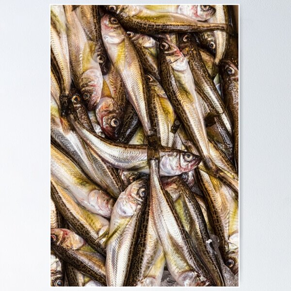 Vista previa del artículo con la obra «Fresh Fish Marketplace», diseñado y vendido por Bo Insogna.