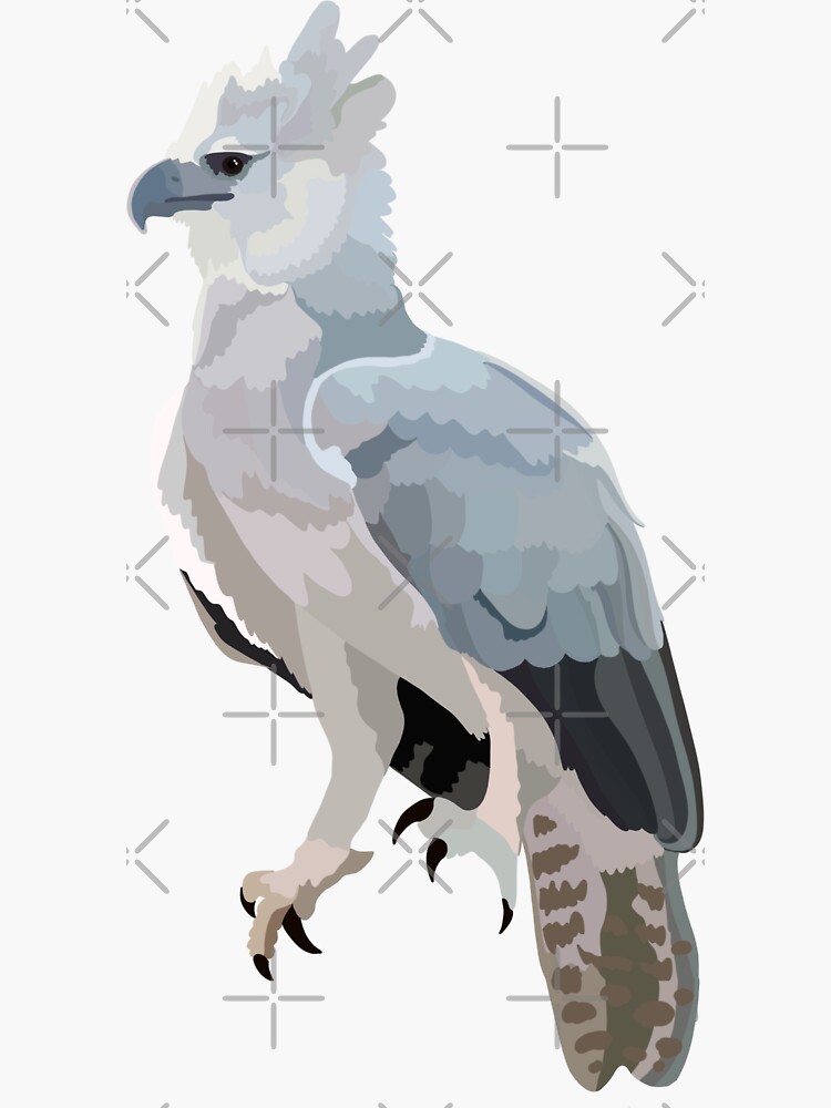 Harpy Eagles Stickers for Sale