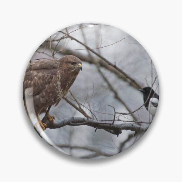 Item preview, Common Buzzard and Magpie designed and sold by Chris Monks.