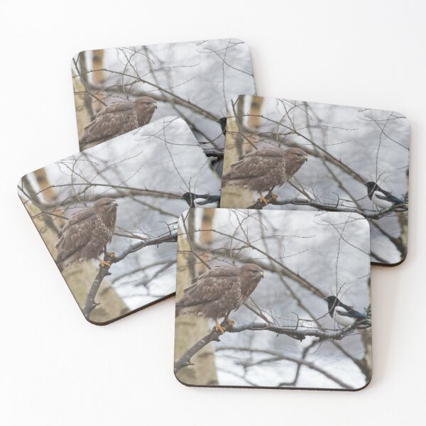 Item preview, Common Buzzard and Magpie designed and sold by Chris Monks.