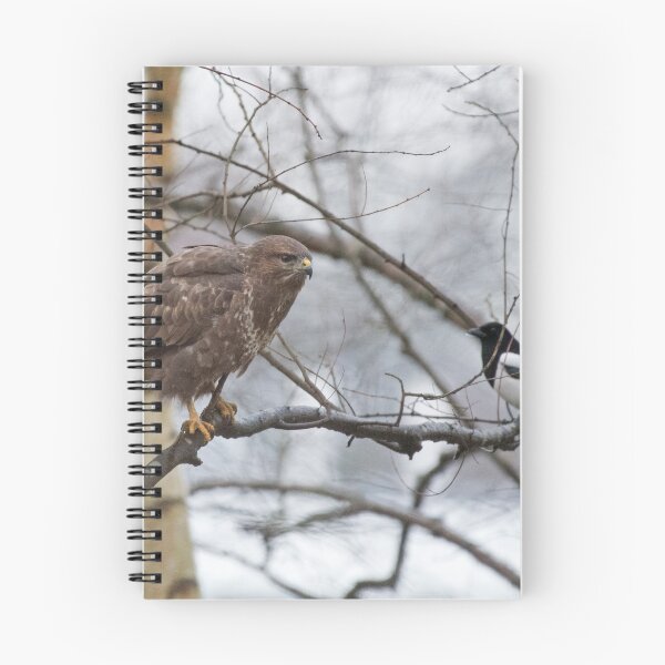 Item preview, Common Buzzard and Magpie designed and sold by Chris Monks.