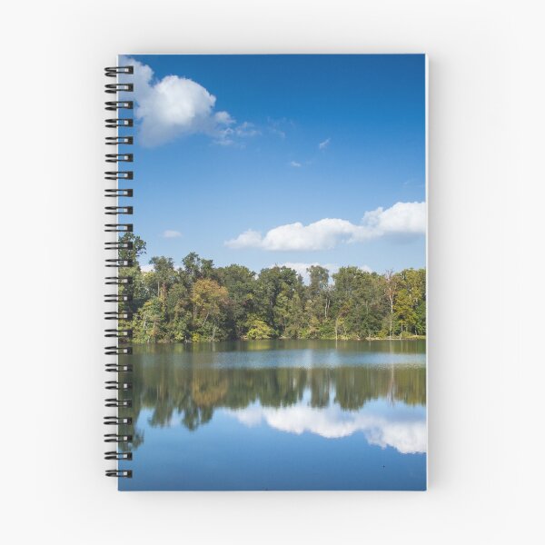 Item preview, Reflections designed and sold by NicholasMorris.