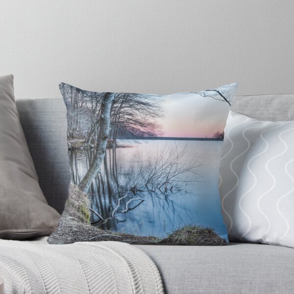 Aperçu de l'œuvre Coucher de soleil d'hiver (Panta de Santa Fe, Catalogne) créée et vendue par Marc Garrido Clotet.