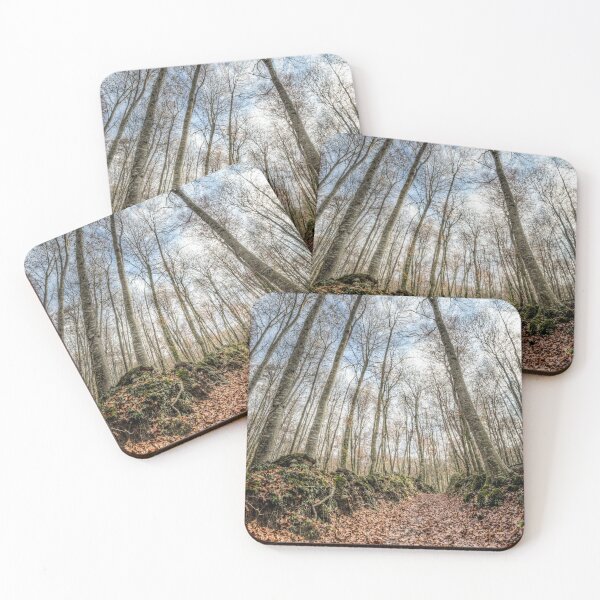 Item preview, Winter Is Coming (Fageda d’en Jordà, Catalonia) designed and sold by Marc Garrido Clotet.