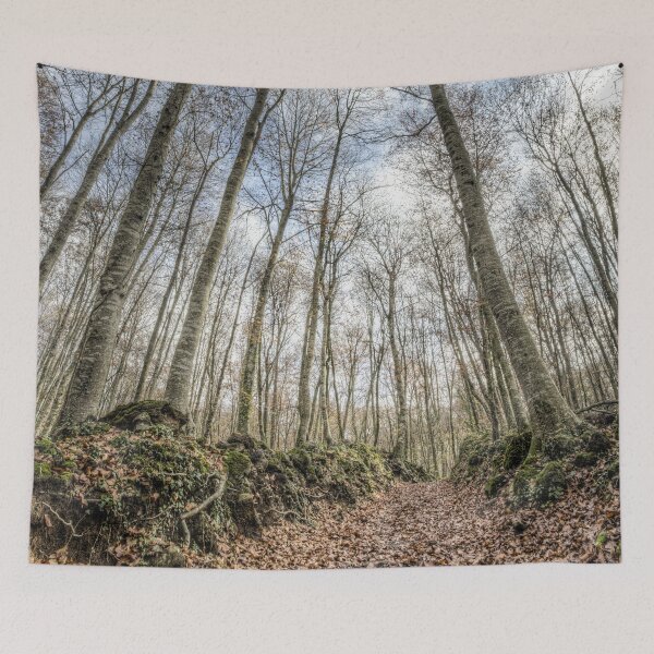 Item preview, Winter Is Coming (Fageda d’en Jordà, Catalonia) designed and sold by Marc Garrido Clotet.