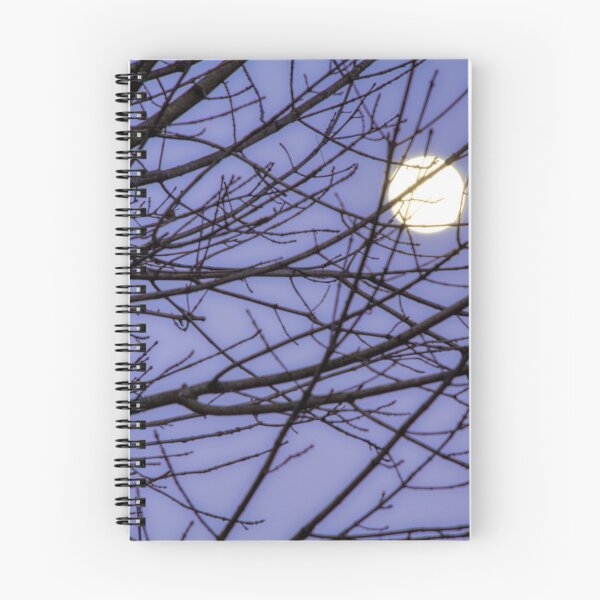 Item preview, Endora Court Full Moon  designed and sold by Joy Goldman.