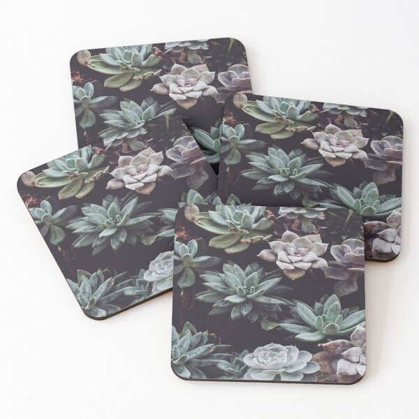 Item preview, succulents galore designed and sold by MNCO.