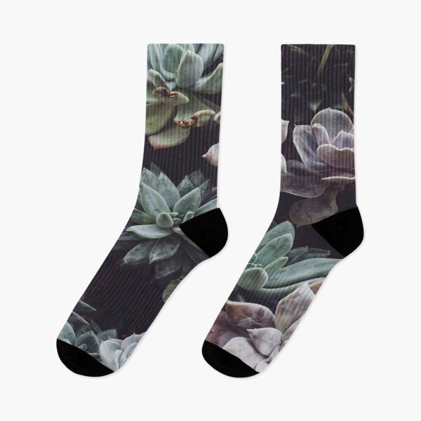 Item preview, succulents galore designed and sold by MNCO.