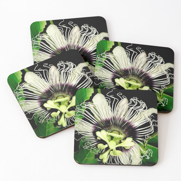 Item preview, Passion-fruit Flower  designed and sold by Geoff Treagus.