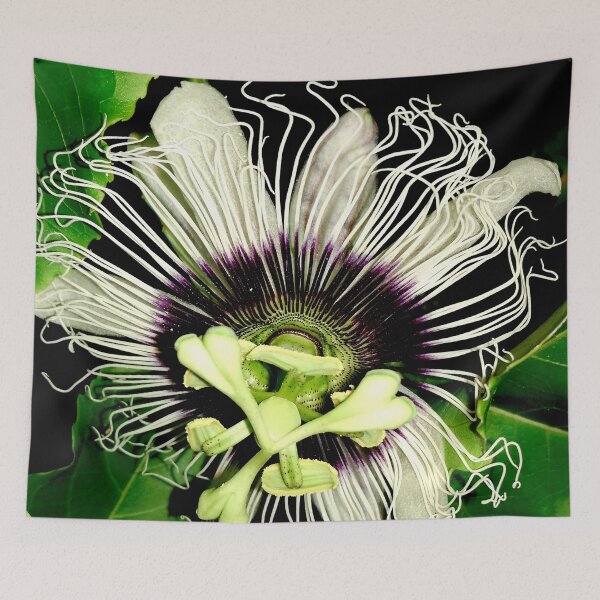 Item preview, Passion-fruit Flower  designed and sold by Geoff Treagus.