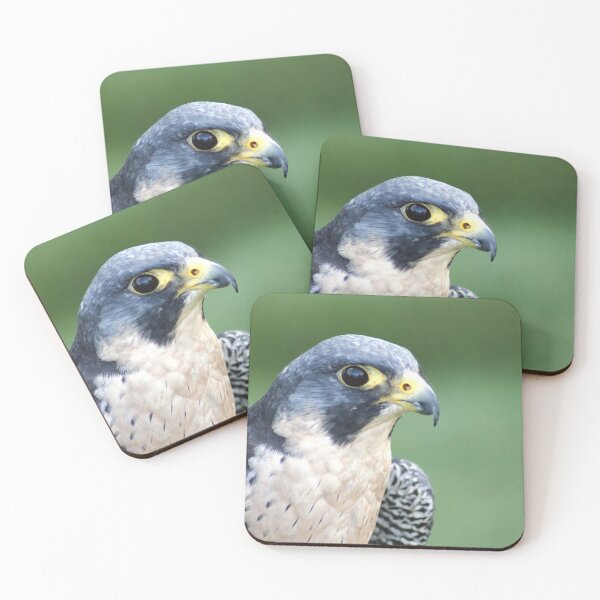 Item preview, Hawk eyes designed and sold by DomenicBlair77.