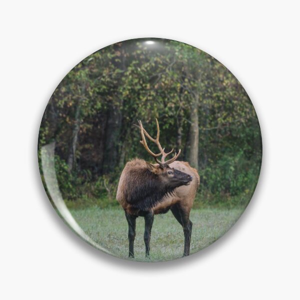 Item preview, Mighty Bull Elk designed and sold by mljdwhite.