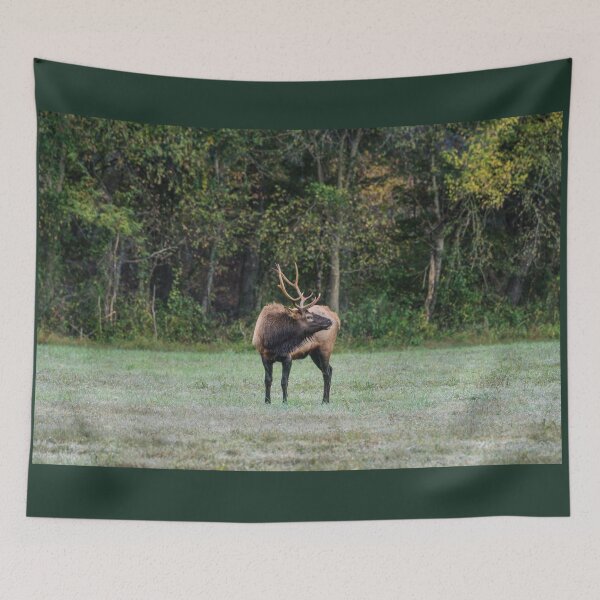 Item preview, Mighty Bull Elk designed and sold by mljdwhite.