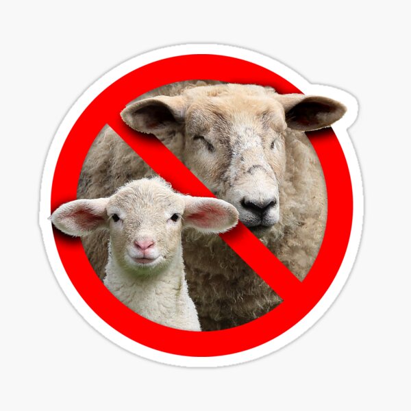 Don't be A Flock of Sheep Sticker
