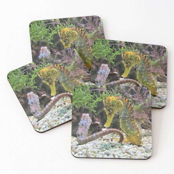 Item preview, Sweet Seahorse designed and sold by Fearless-Fox.