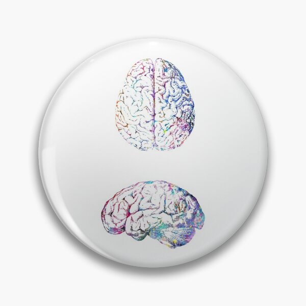 Item preview, Human Brain Anatomy Side and Upside View designed and sold by EvasDreams.