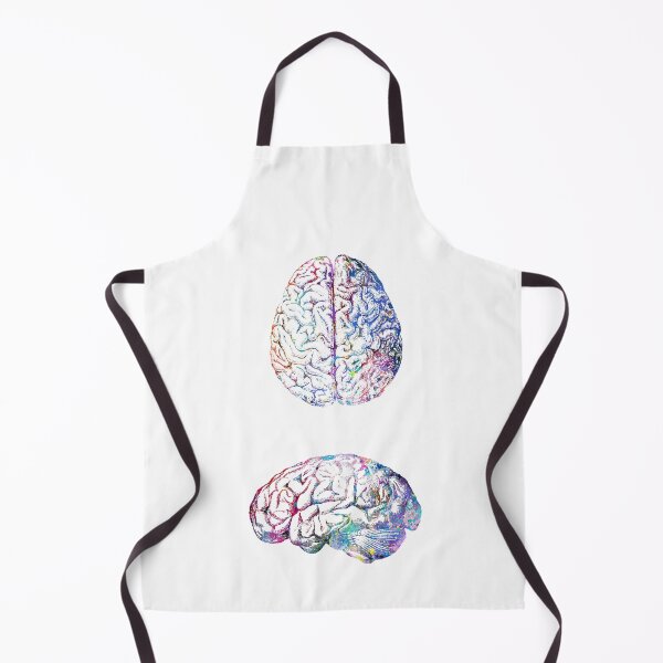 Item preview, Human Brain Anatomy Side and Upside View designed and sold by EvasDreams.